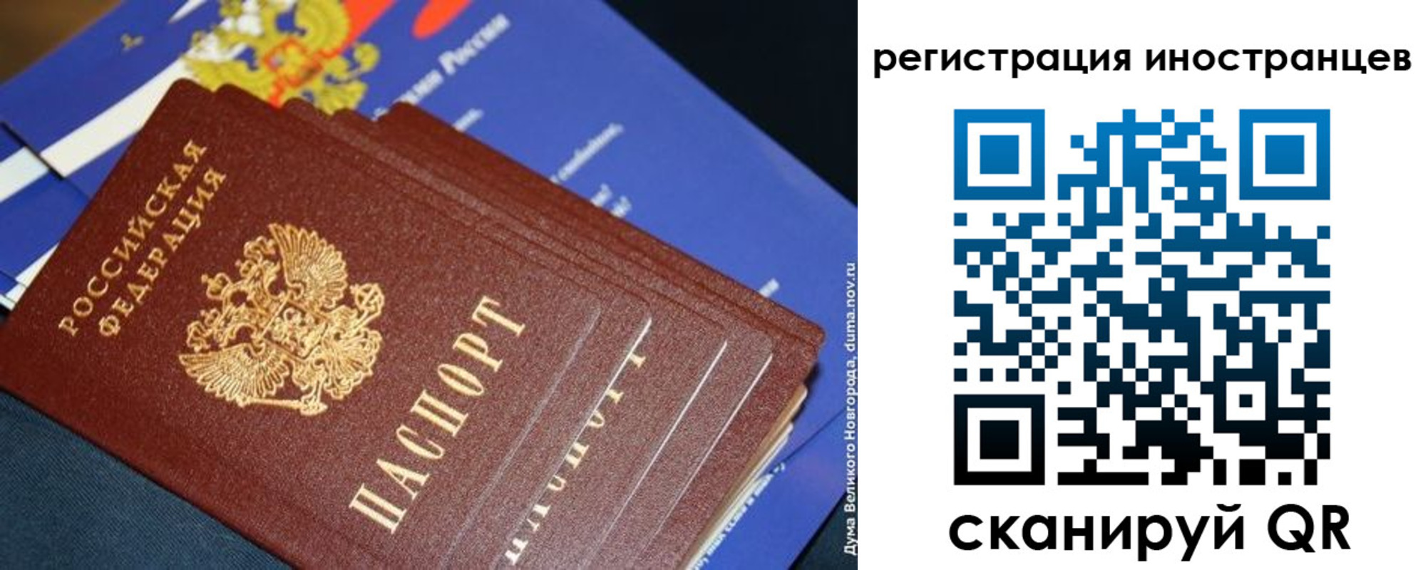 прописка поиск в Пскове